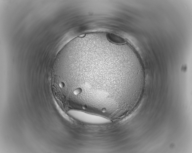 X0000093571425200710291031