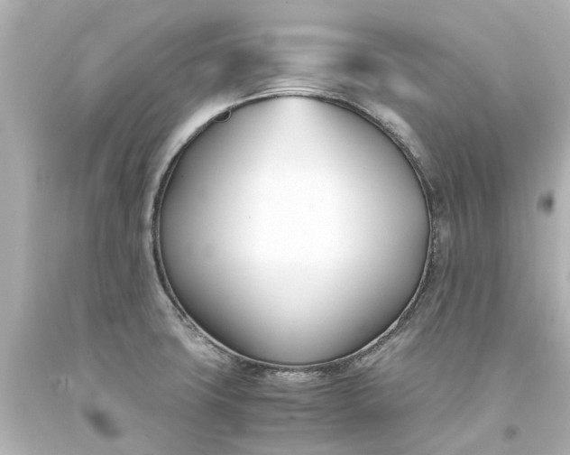 X0000093571427200710291031