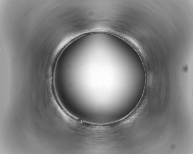 X0000093571430200710291031