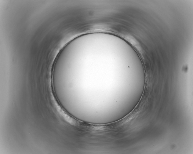 X0000093571431200710291031