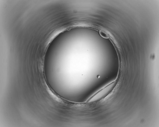 X0000093571433200710291031