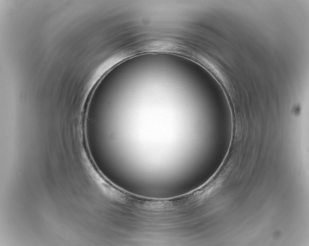 X0000093571434200710291031