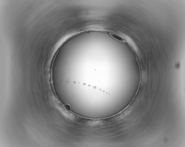 X0000093571435200710291031