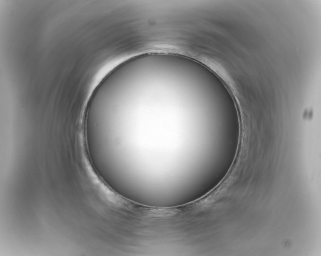 X0000093571440200710291031