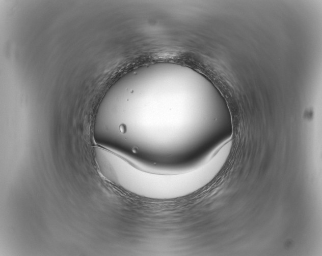 X0000093571441200710291030