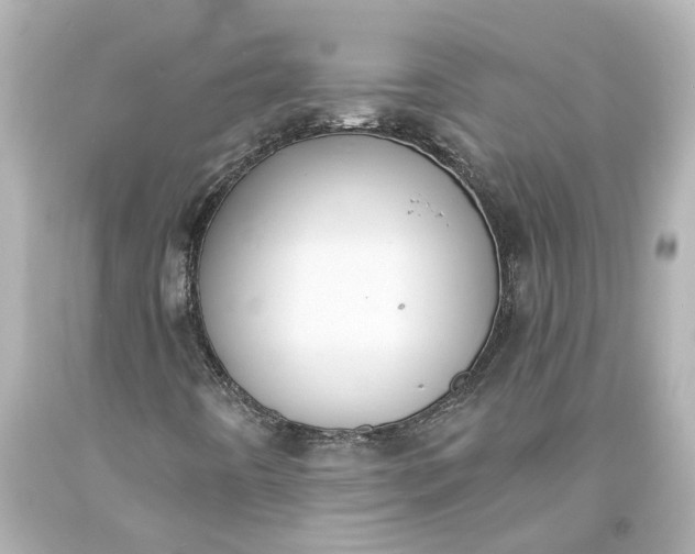 X0000093571442200710291030