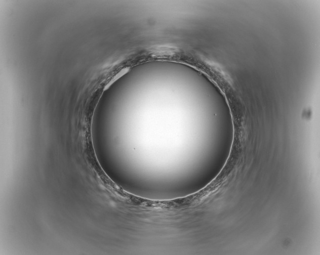 X0000093571445200710291030