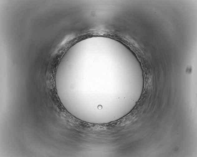X0000093571446200710291030