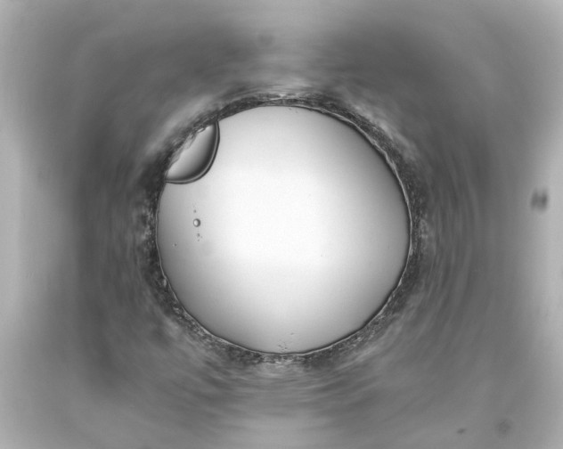 X0000093571447200710291030