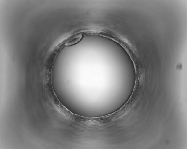 X0000093571448200710291030
