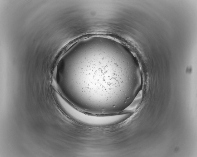 X0000093571449200710291030