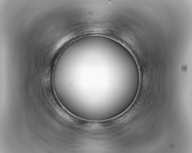 X0000093571450200710291030