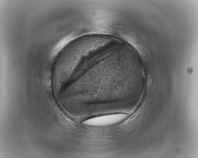 X0000093571455200710291030