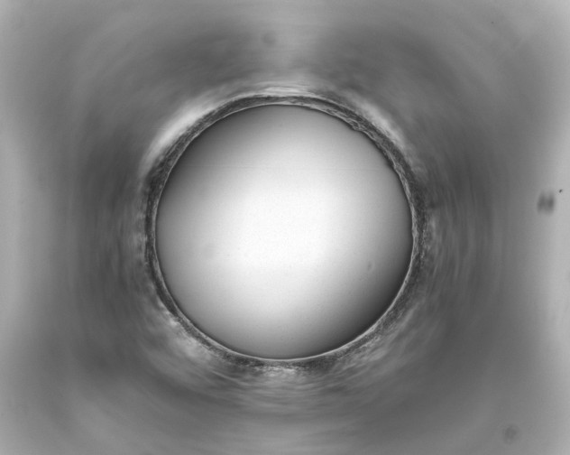 X0000093571456200710291030