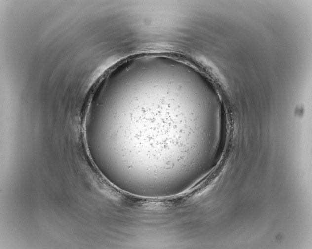 X0000093571457200710291030