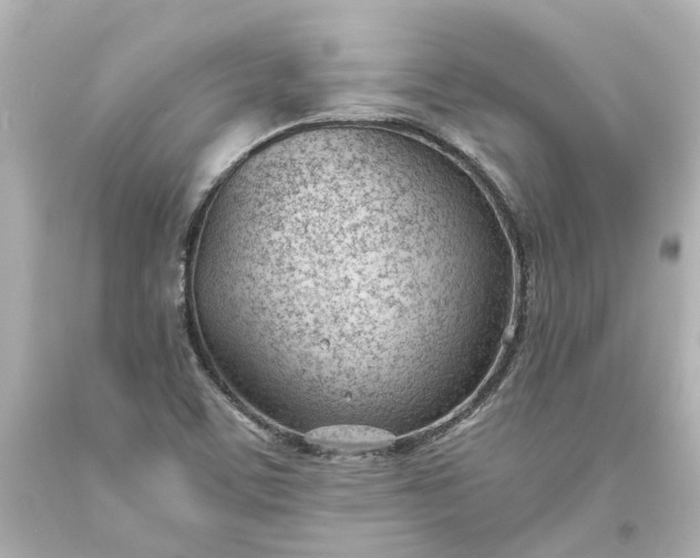 X0000093571459200710291030