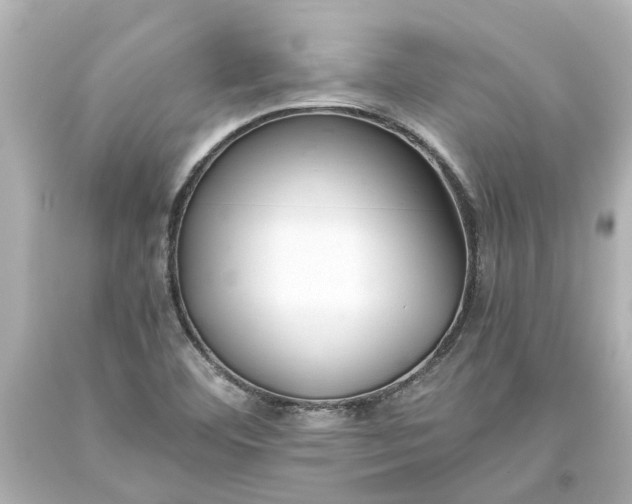 X0000093571460200710291030
