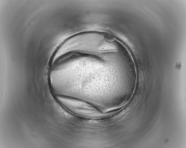 X0000093571463200710291030