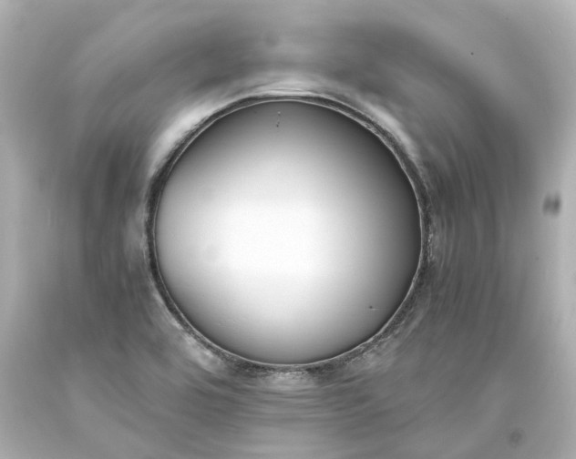 X0000093571464200710291030