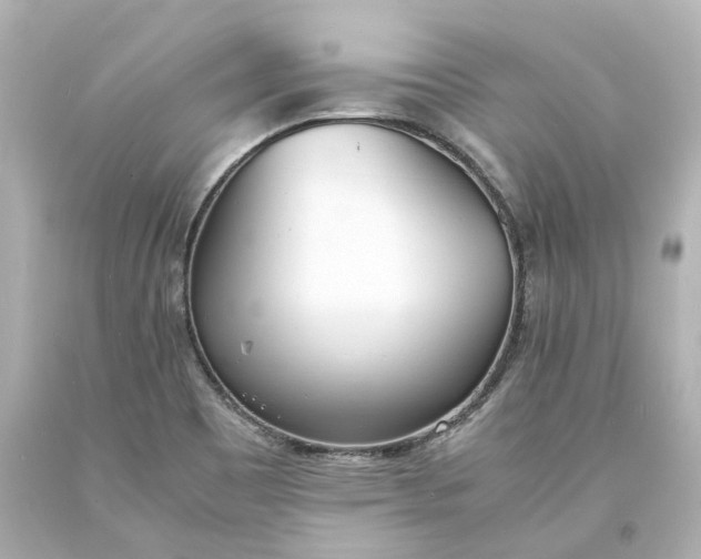 X0000093571465200710291030