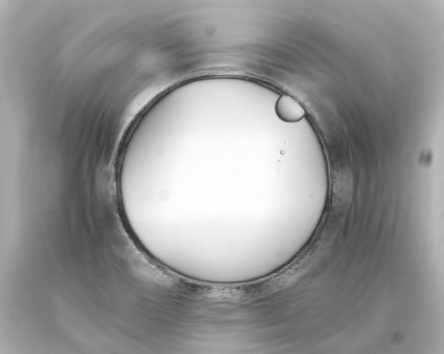 X0000093571466200710291030