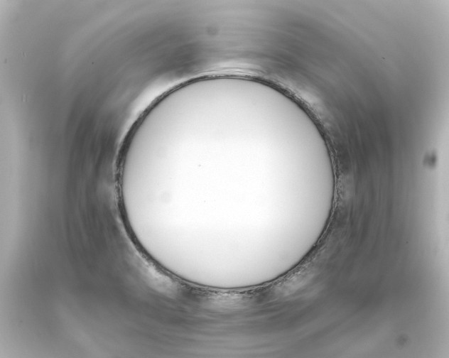 X0000093571470200710291030