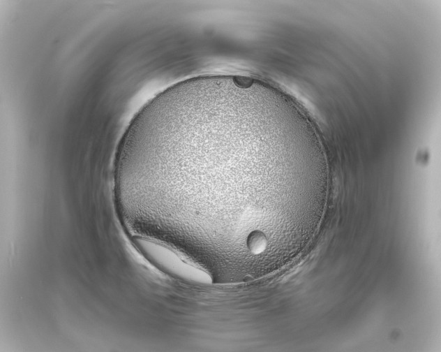 X0000093571471200710291030