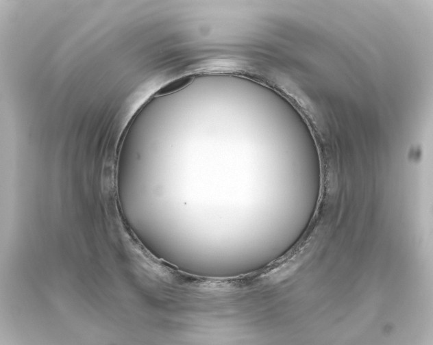 X0000093571473200710291030