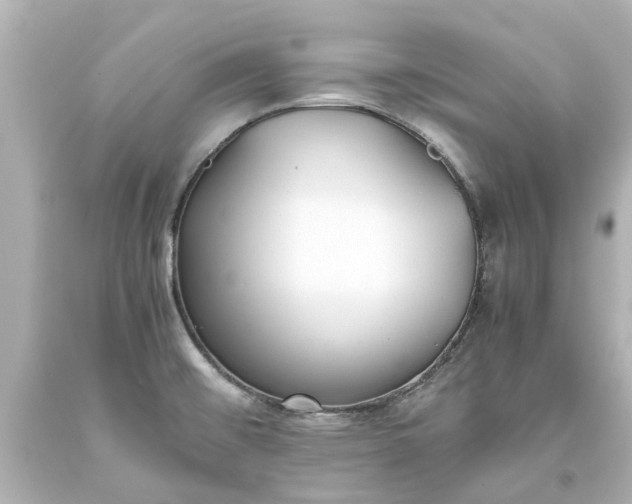 X0000093571476200710291030