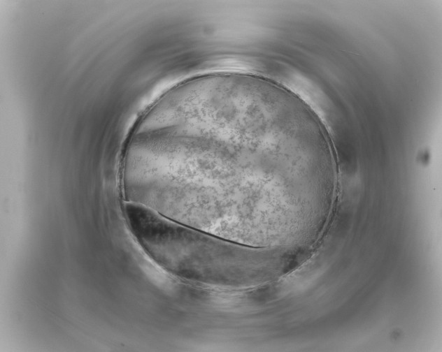 X0000093571477200710291030