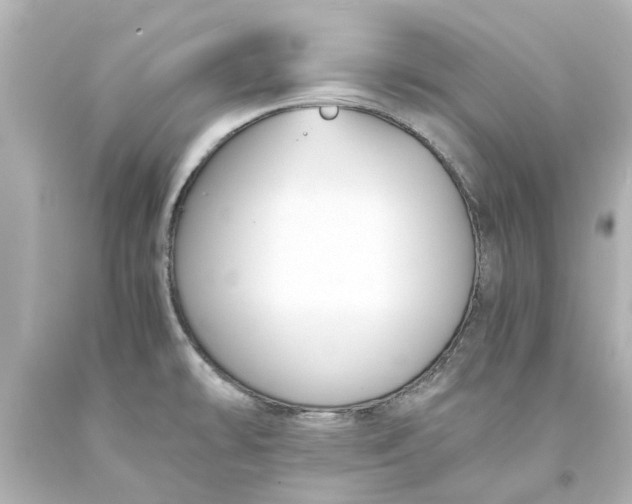 X0000093571478200710291030