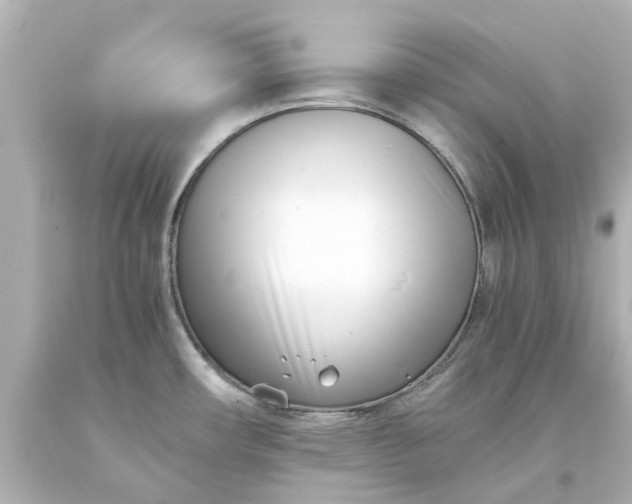 X0000093571482200710291030