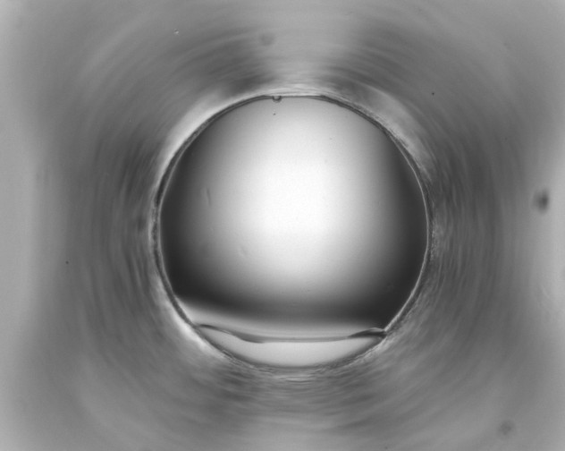 X0000093571484200710291030