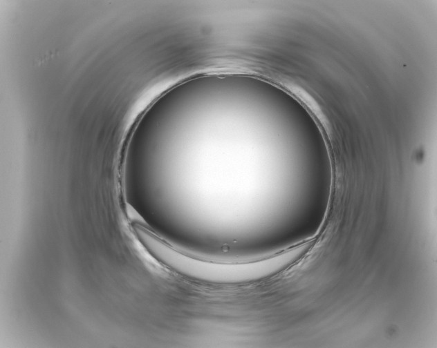 X0000093571485200710291030