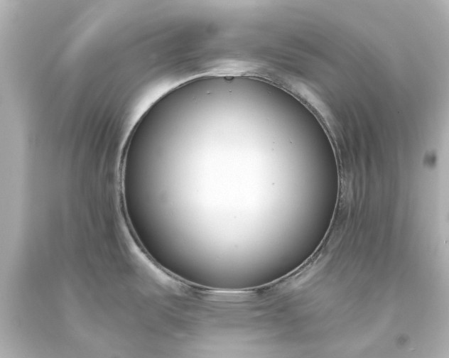 X0000093571487200710291030