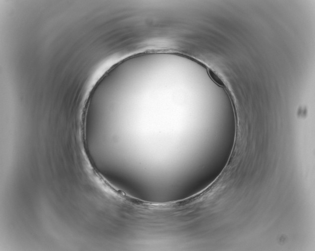 X0000093571488200710291030