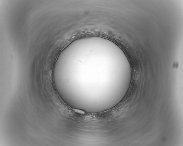 X0000093571489200710291029