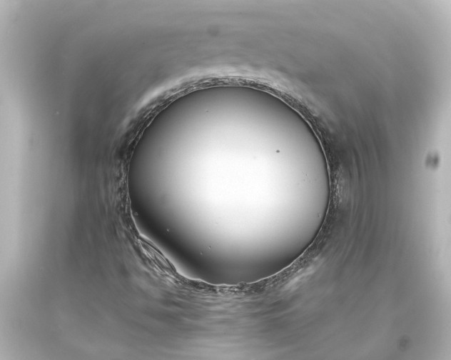 X0000093571494200710291029