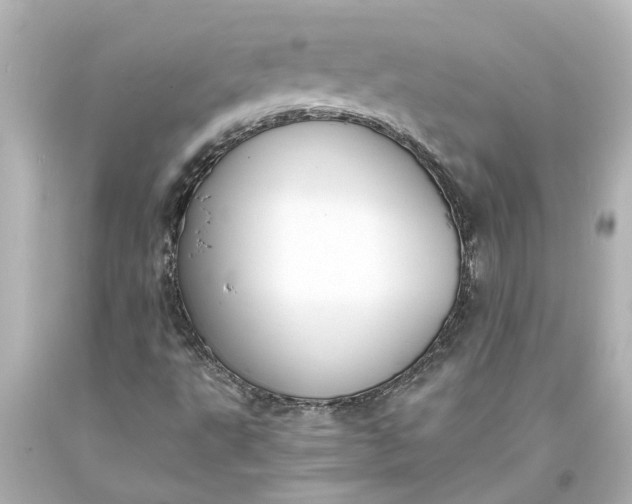 X0000093571495200710291029