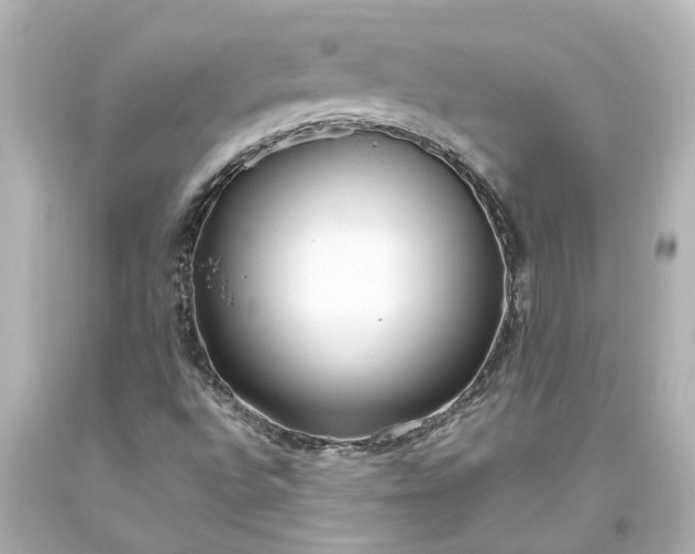 X0000093571496200710291029