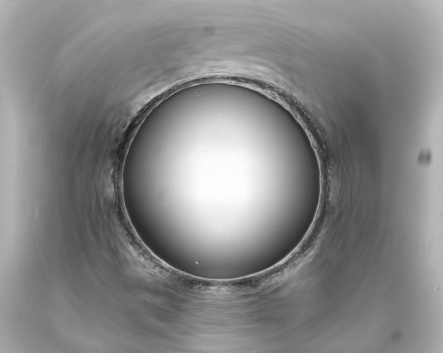 X0000093571497200710291029