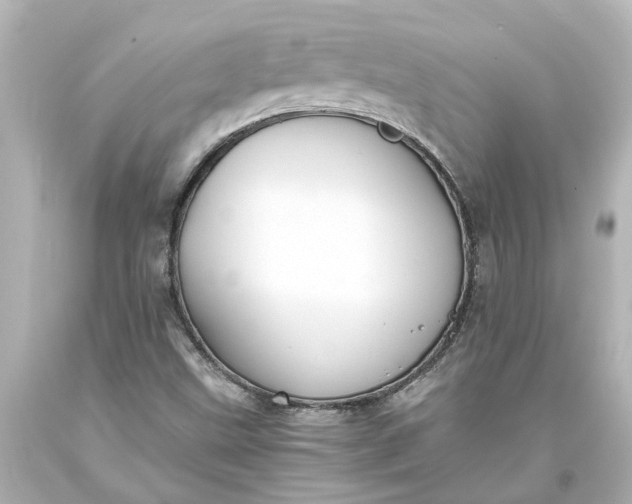 X0000093571499200710291029