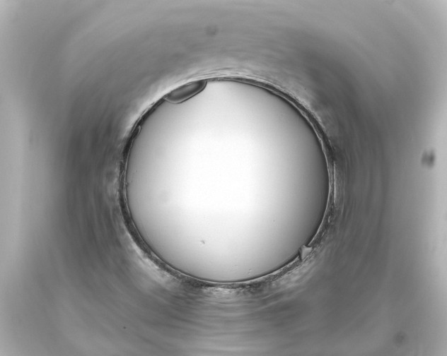 X0000093571500200710291029