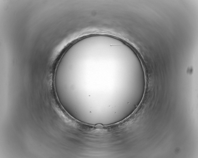 X0000093571503200710291029