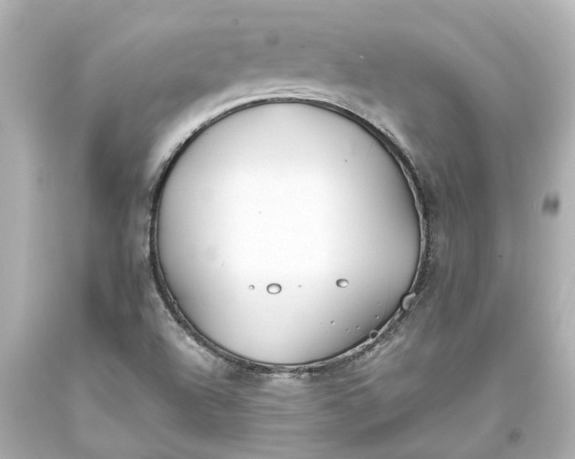 X0000093571504200710291029