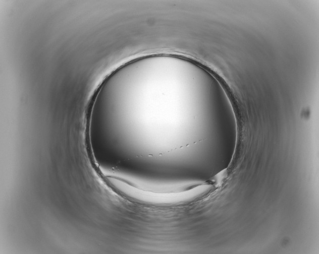 X0000093571508200710291029