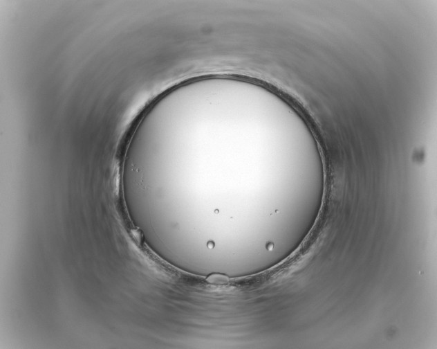 X0000093571509200710291029