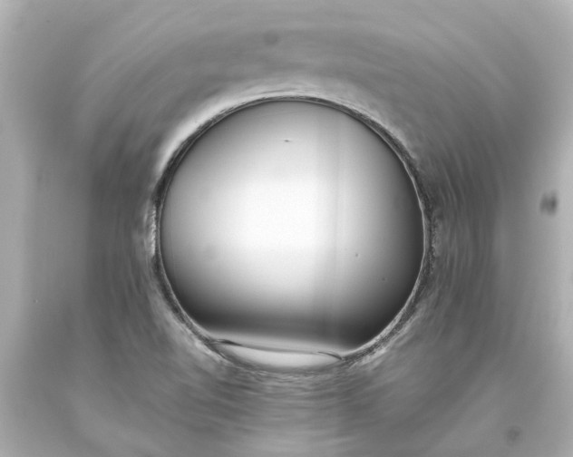 X0000093571510200710291029