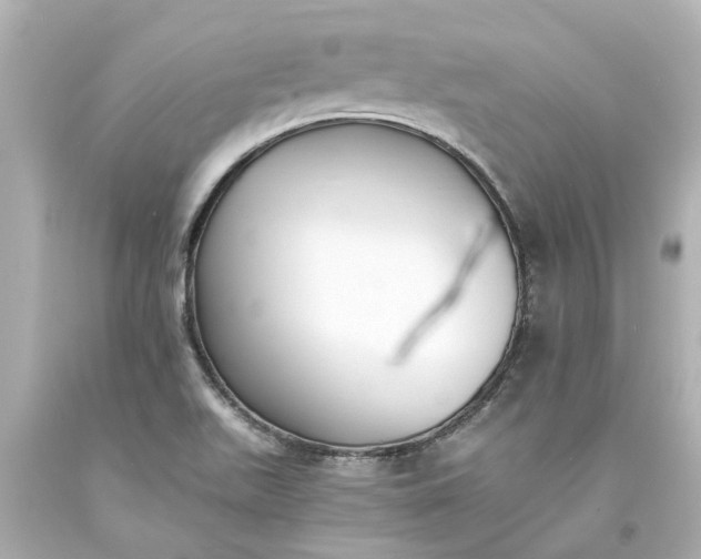 X0000093571511200710291029