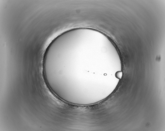 X0000093571512200710291029